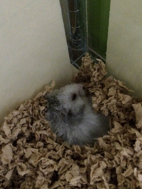 f:id:akie1000:20150916233211j:plain f:id:akie1000:20150916233211j:plain