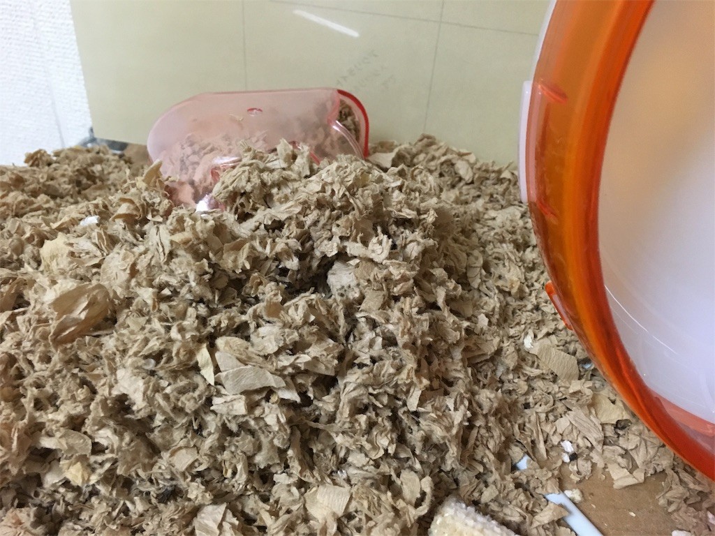 f:id:akie1000:20150927234009j:image