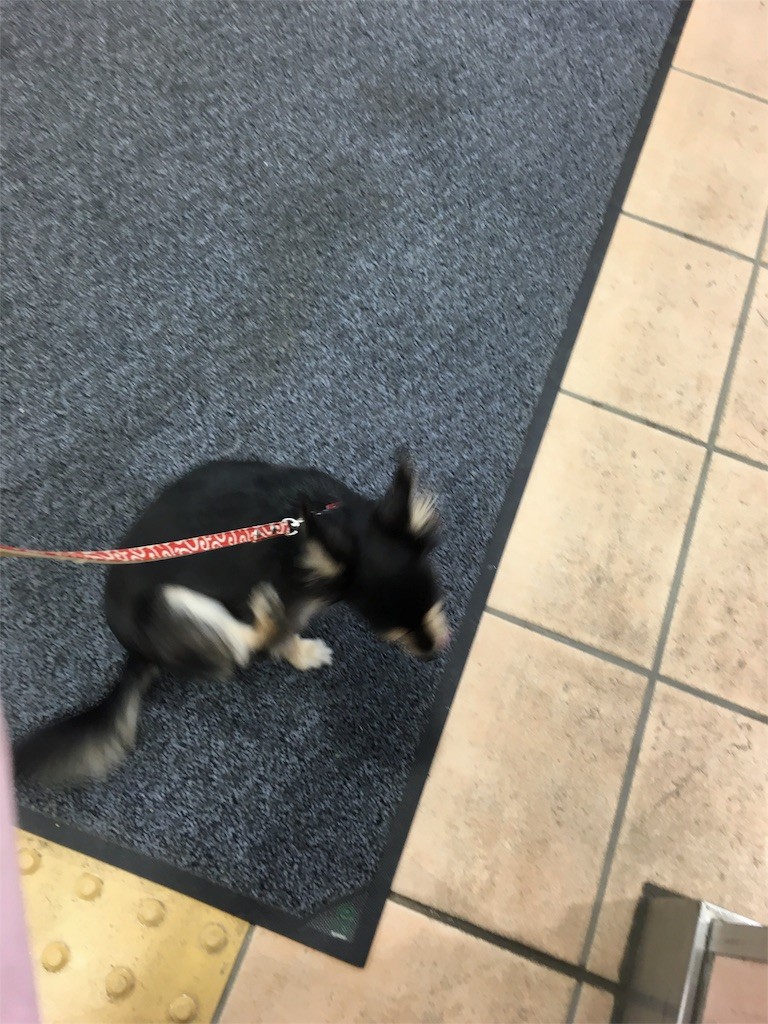 f:id:akie1000:20151027000621j:image