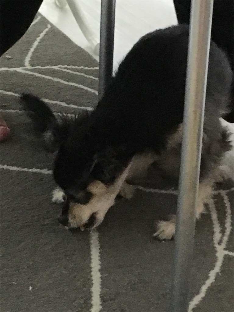 f:id:akie1000:20151027000924j:image