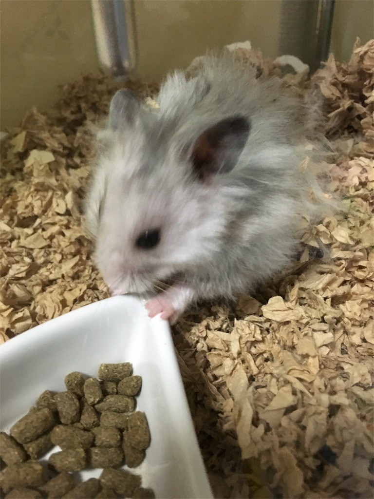 f:id:akie1000:20151027001902j:image