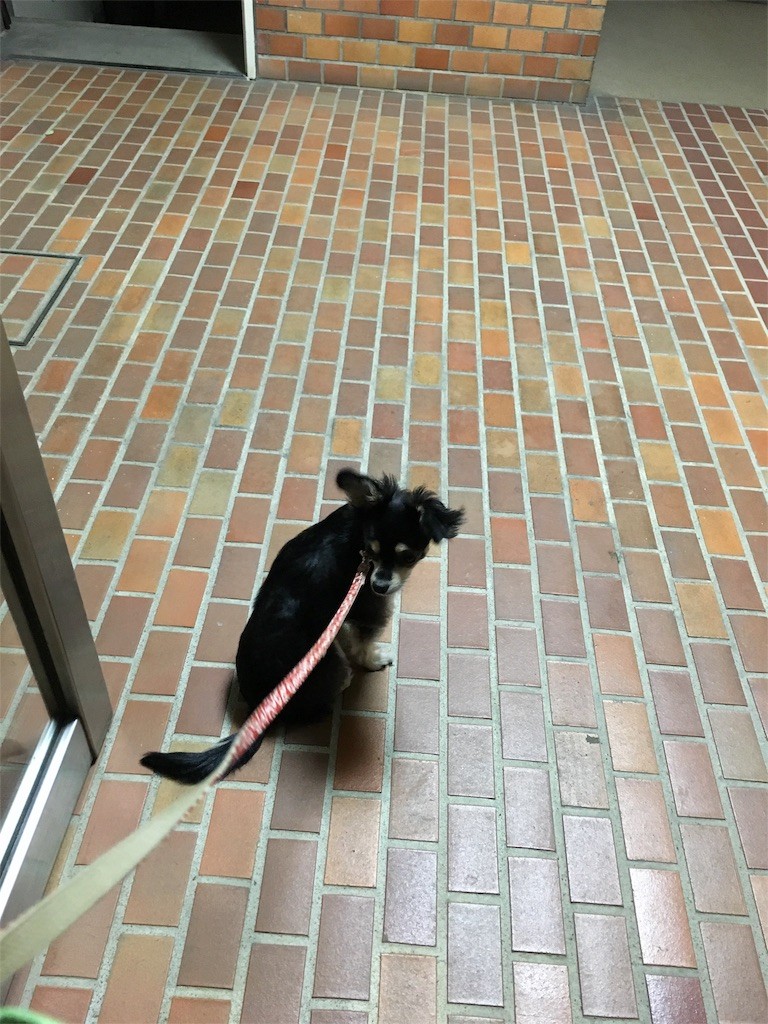 f:id:akie1000:20151027234924j:image f:id:akie1000:20151027234924j:image