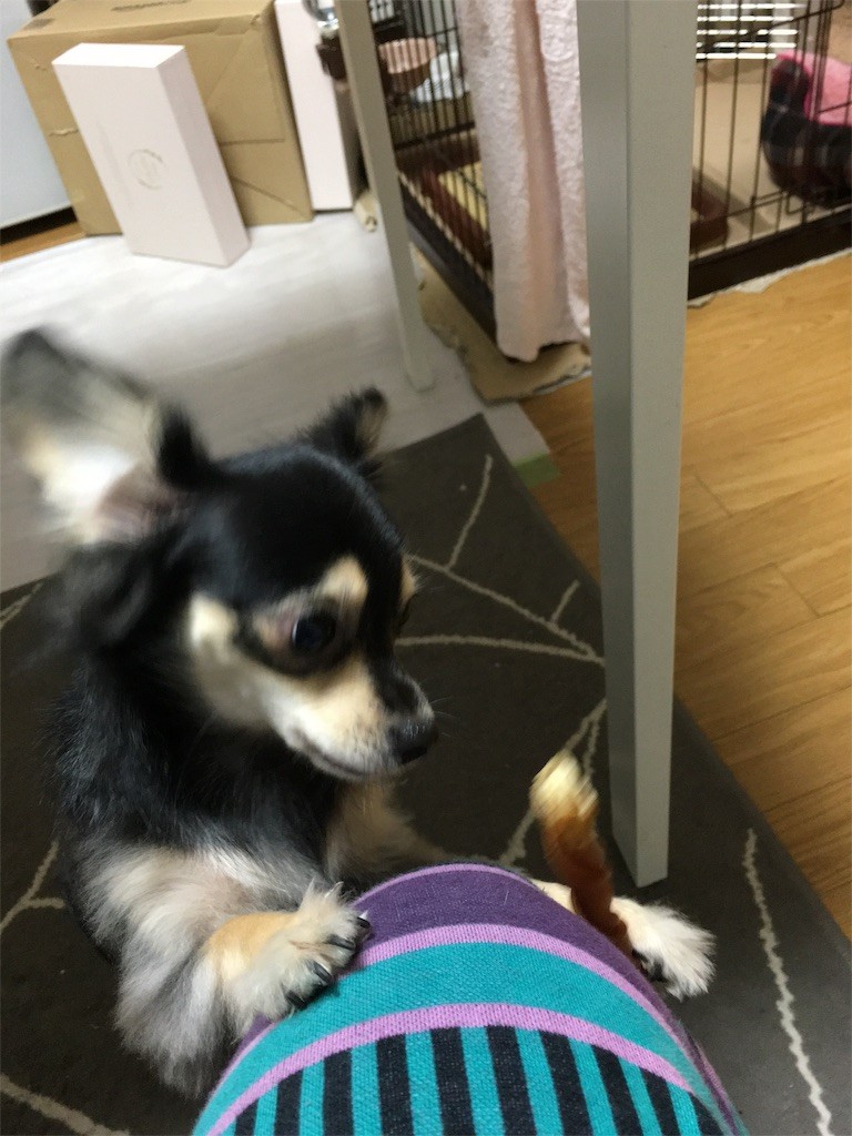 f:id:akie1000:20151027235331j:image f:id:akie1000:20151027235331j:image