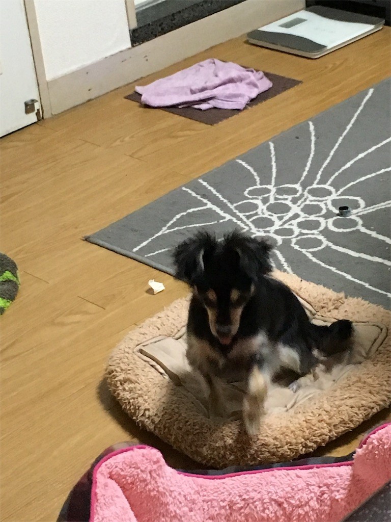 f:id:akie1000:20151027235337j:image f:id:akie1000:20151027235337j:image