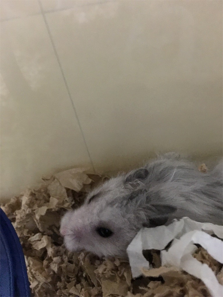 f:id:akie1000:20151027235902j:image