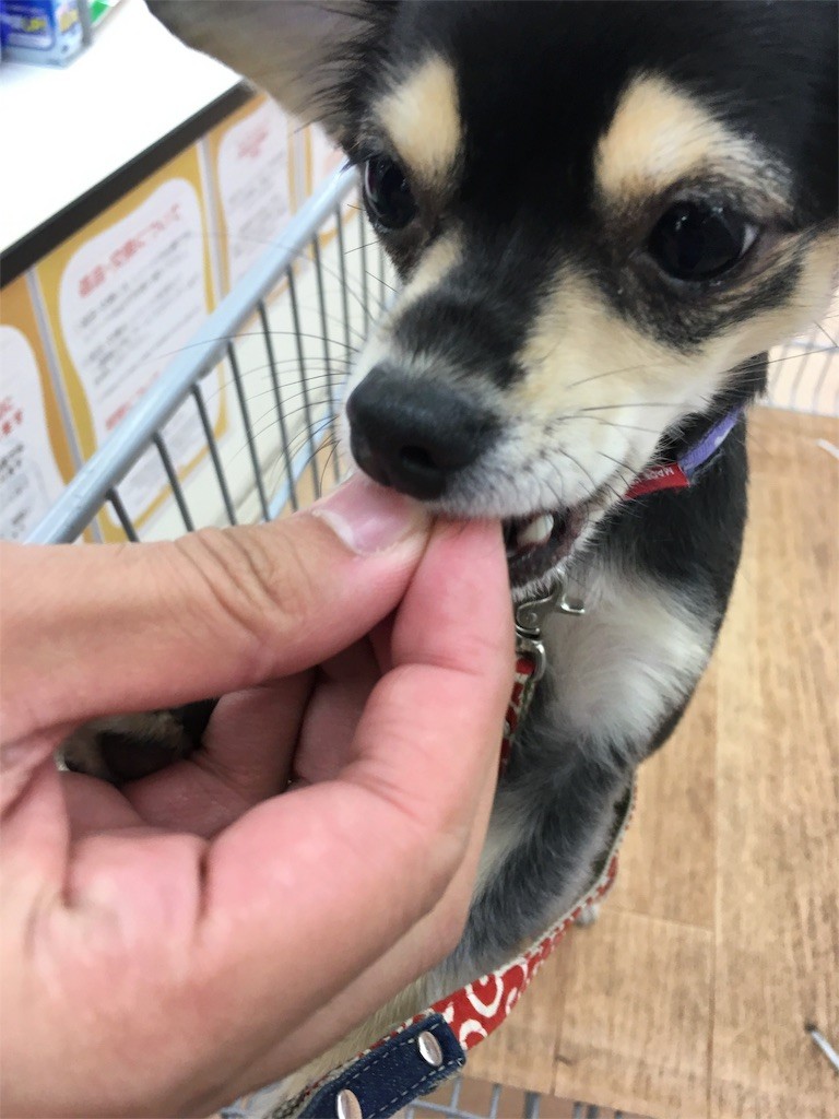 f:id:akie1000:20151112004137j:image f:id:akie1000:20151112004137j:image