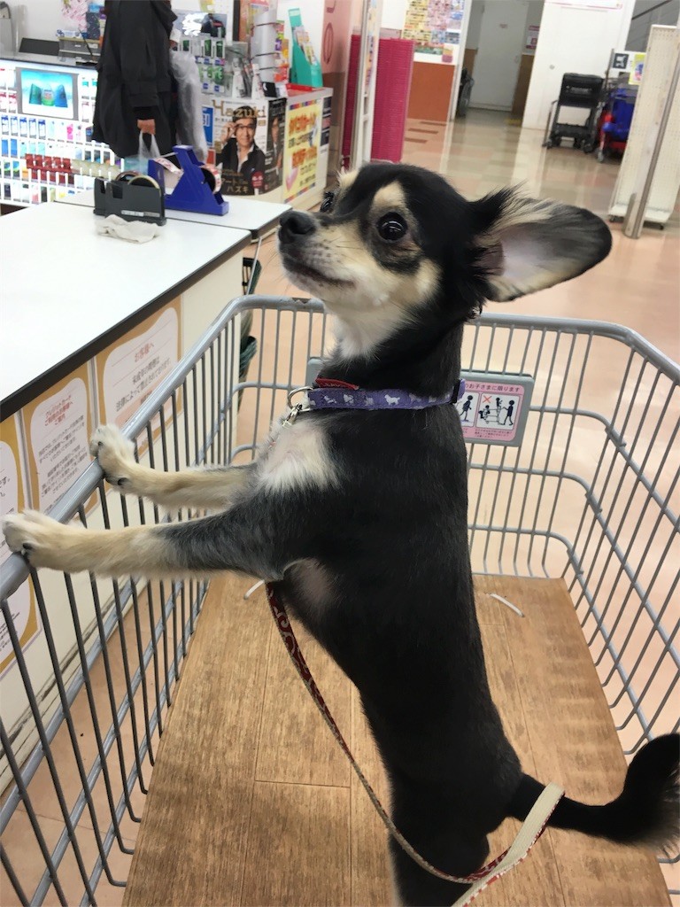 f:id:akie1000:20151112004230j:image f:id:akie1000:20151112004230j:image