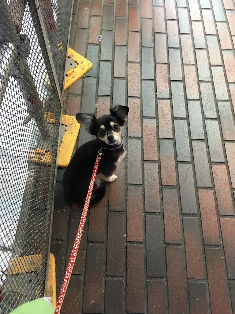 f:id:akie1000:20151112004349j:image f:id:akie1000:20151112004349j:image