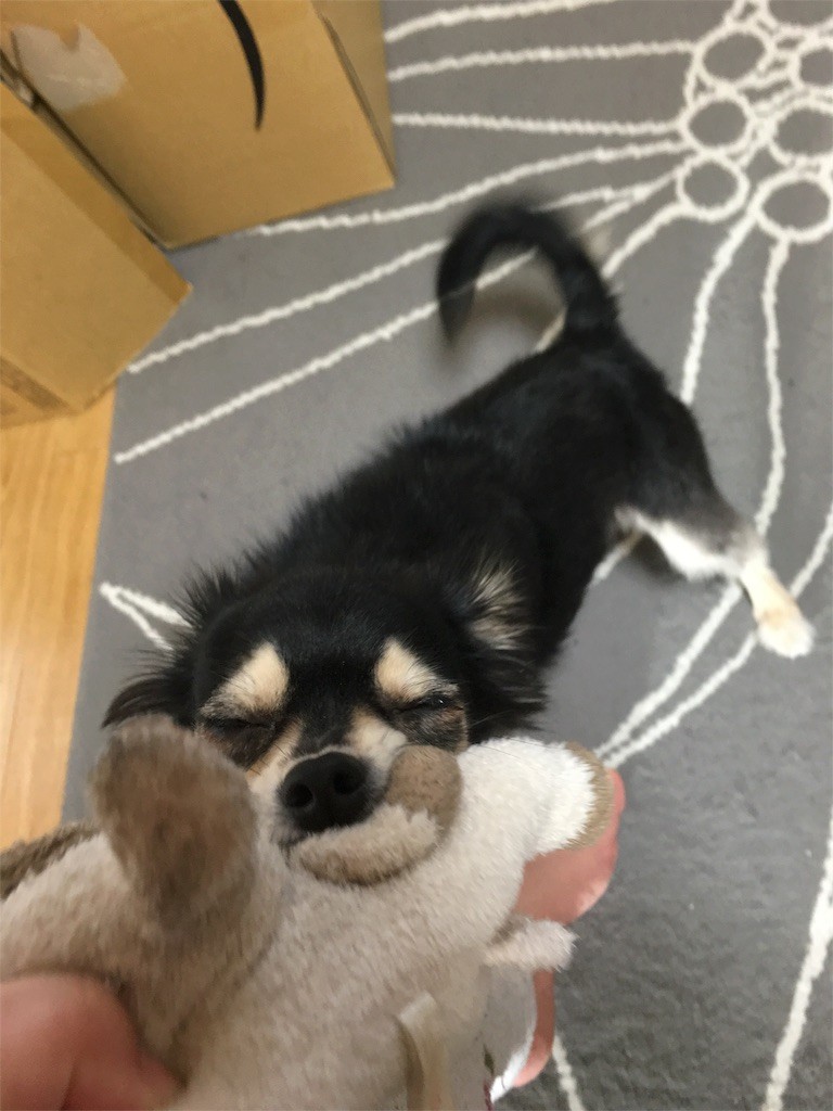 f:id:akie1000:20160105230342j:image