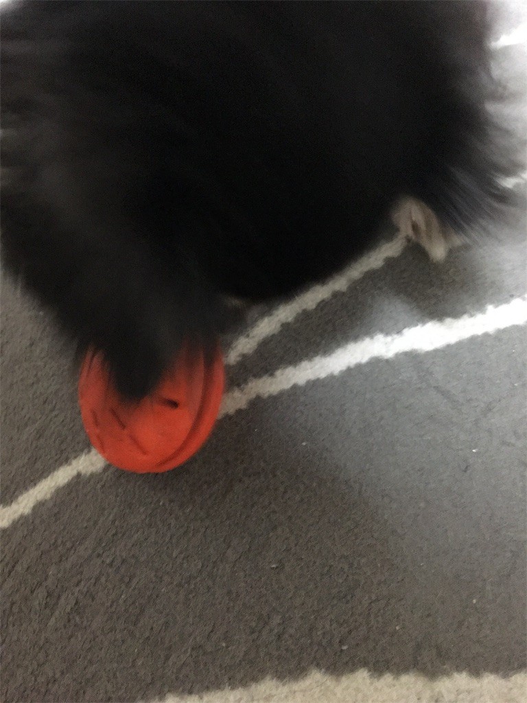 f:id:akie1000:20160105231534j:image