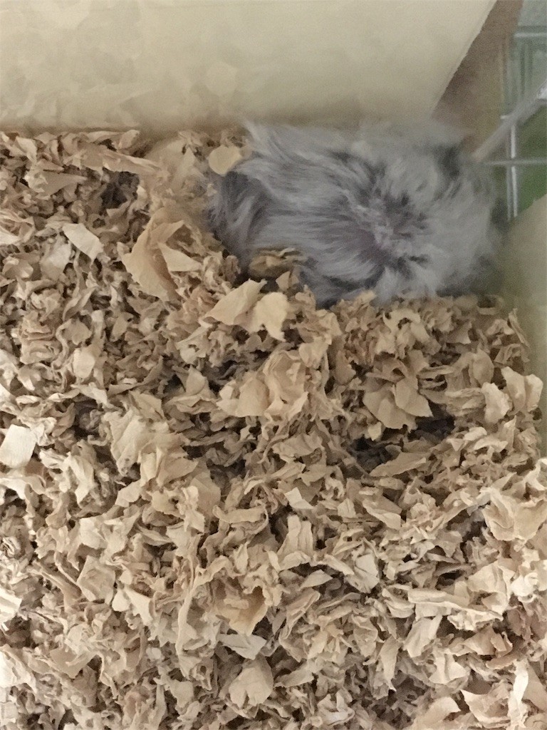 f:id:akie1000:20160201232806j:image f:id:akie1000:20160201232806j:image