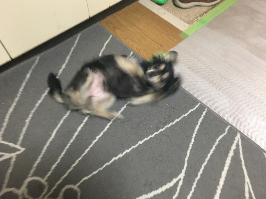 f:id:akie1000:20160210004105j:image f:id:akie1000:20160210004105j:image