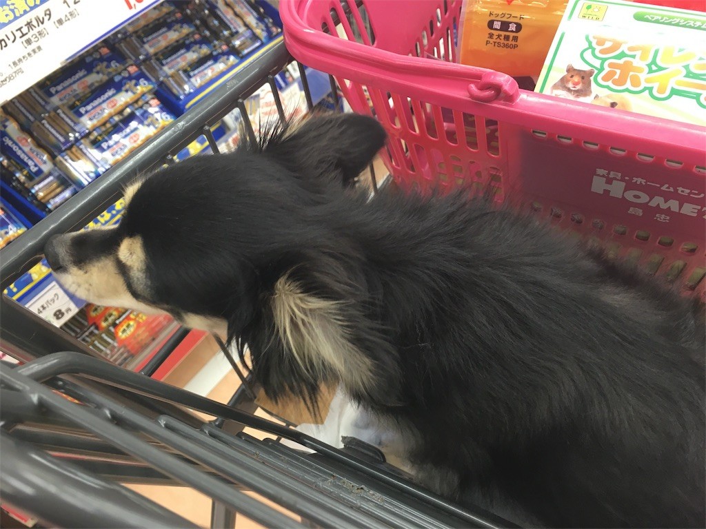 f:id:akie1000:20160210004216j:image f:id:akie1000:20160210004216j:image