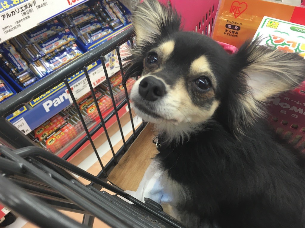 f:id:akie1000:20160210004304j:image f:id:akie1000:20160210004304j:image