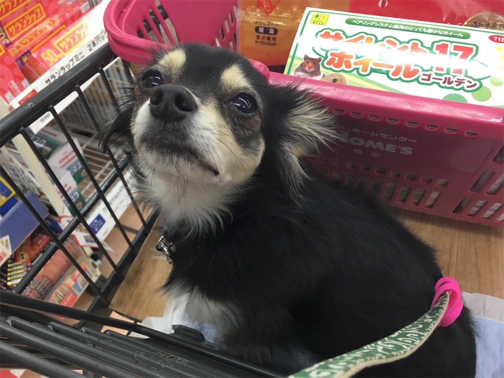 f:id:akie1000:20160210004338j:image f:id:akie1000:20160210004338j:image