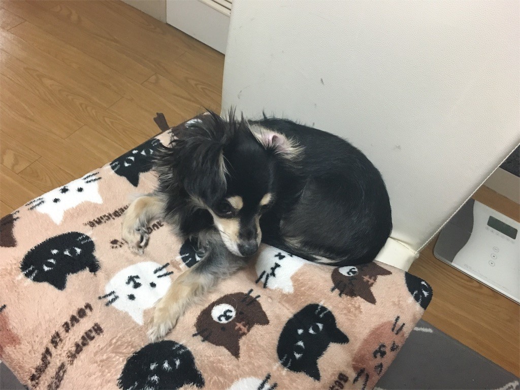 f:id:akie1000:20160210004410j:image f:id:akie1000:20160210004410j:image