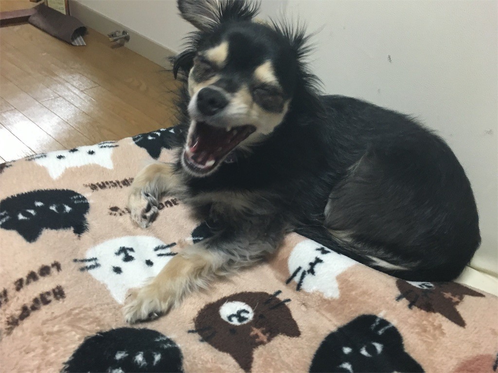 f:id:akie1000:20160210004427j:image f:id:akie1000:20160210004427j:image