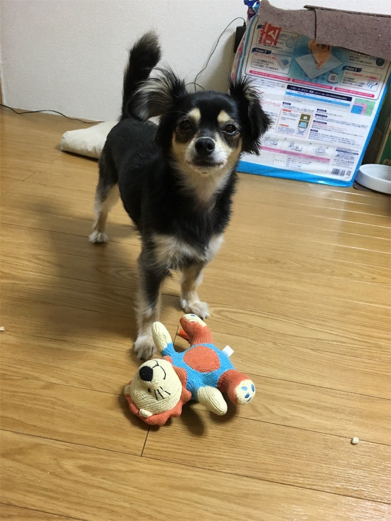 f:id:akie1000:20160407214137j:image f:id:akie1000:20160407214137j:image