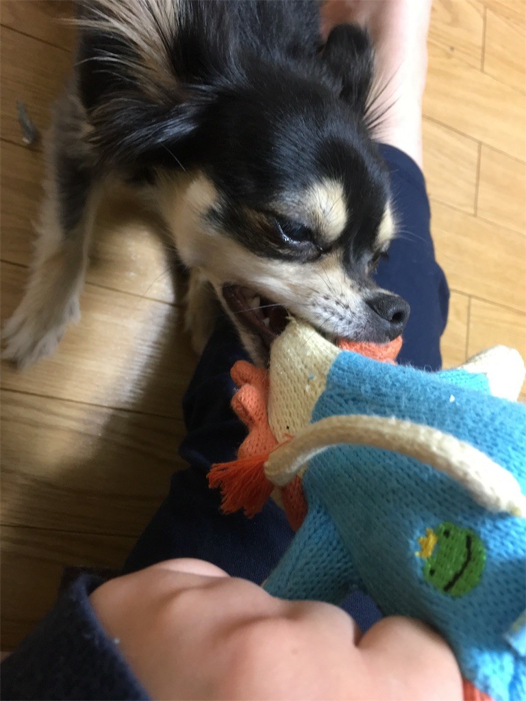 f:id:akie1000:20160407214225j:image f:id:akie1000:20160407214225j:image