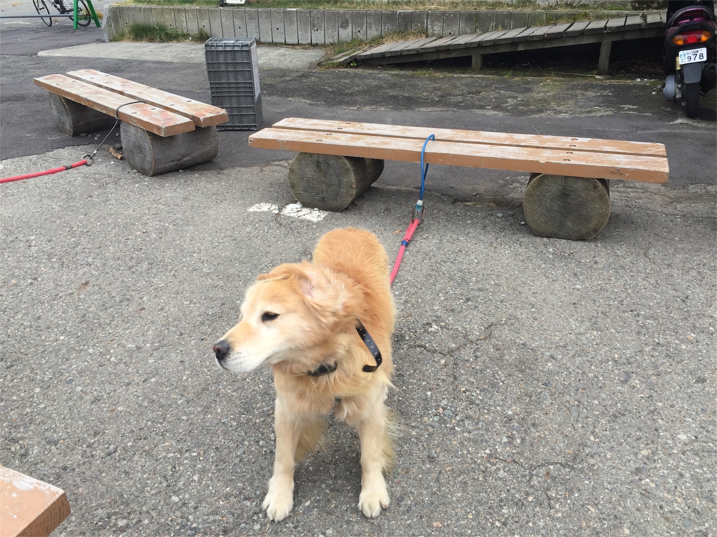 f:id:akikazu_sato:20151011211839j:image f:id:akikazu_sato:20151011211839j:image