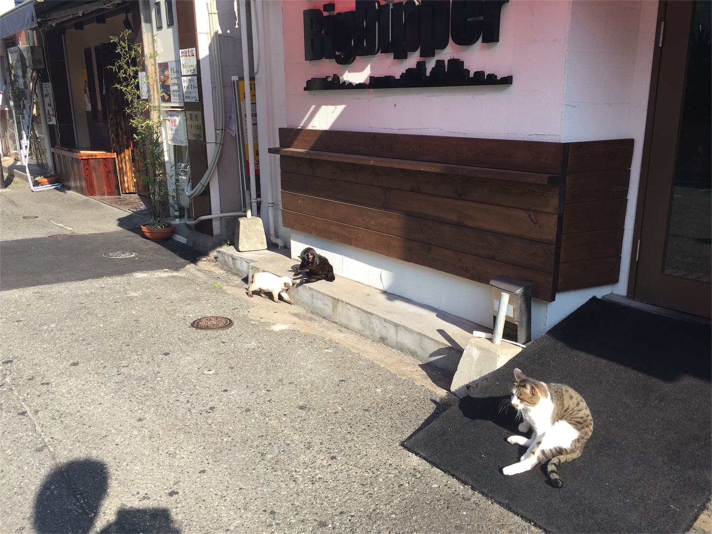 f:id:akikazu_sato:20151107175650j:image f:id:akikazu_sato:20151107175650j:image