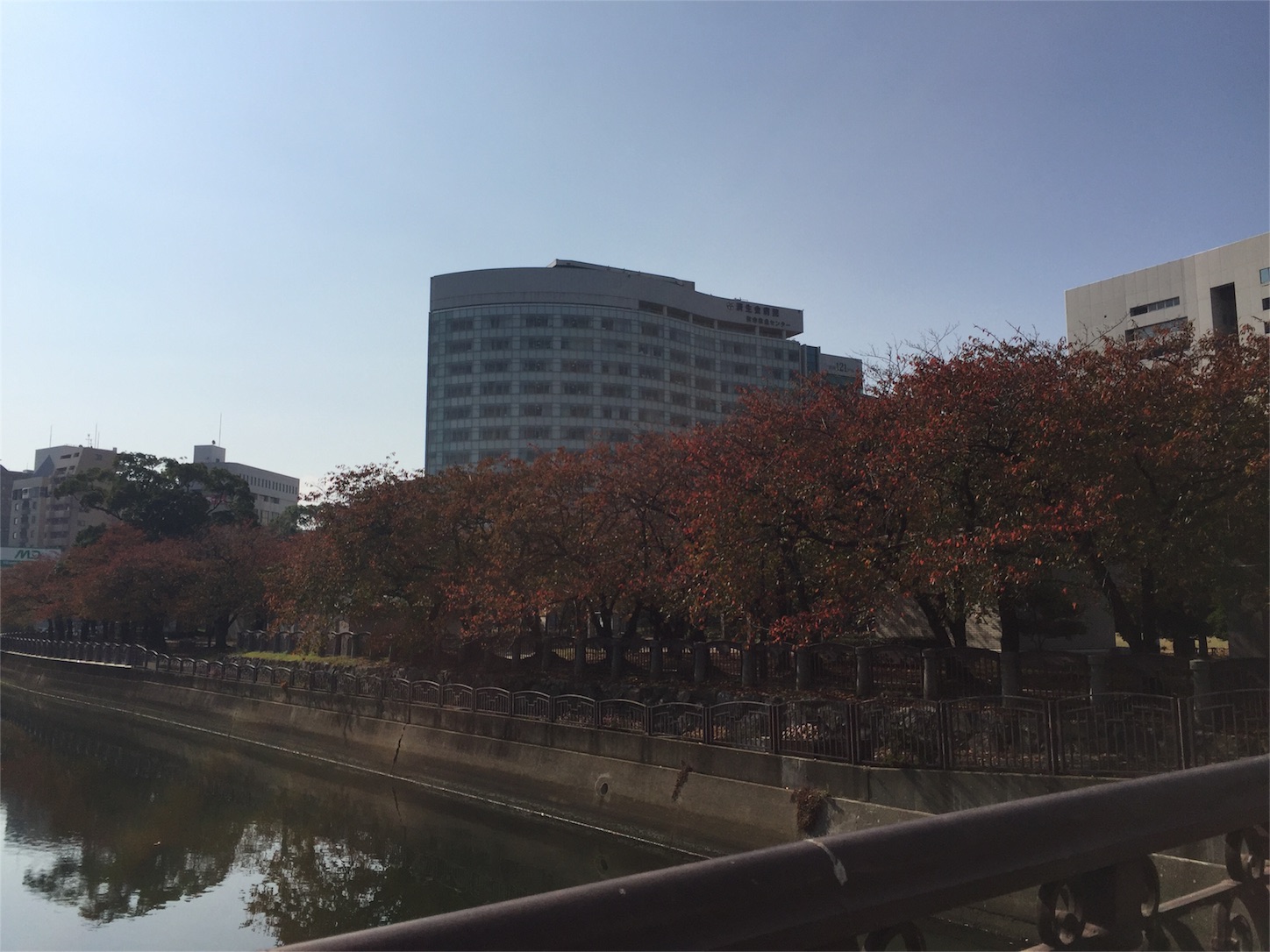 f:id:akikazu_sato:20151107180001j:image f:id:akikazu_sato:20151107180001j:image