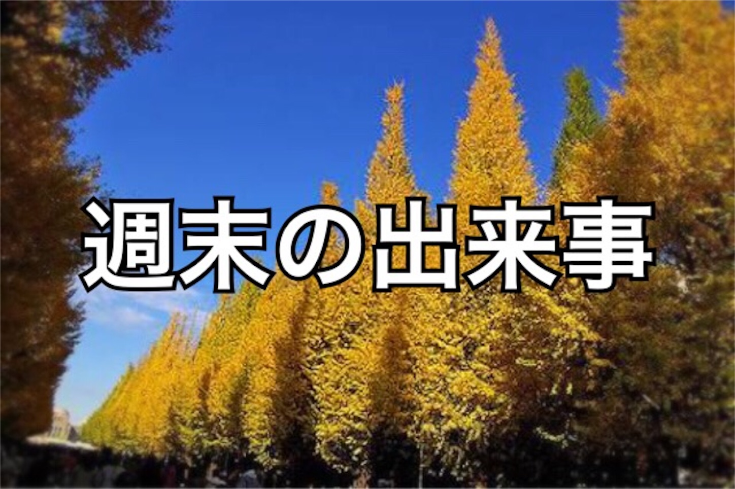 f:id:akikazu_sato:20151214211526j:image f:id:akikazu_sato:20151214211526j:image