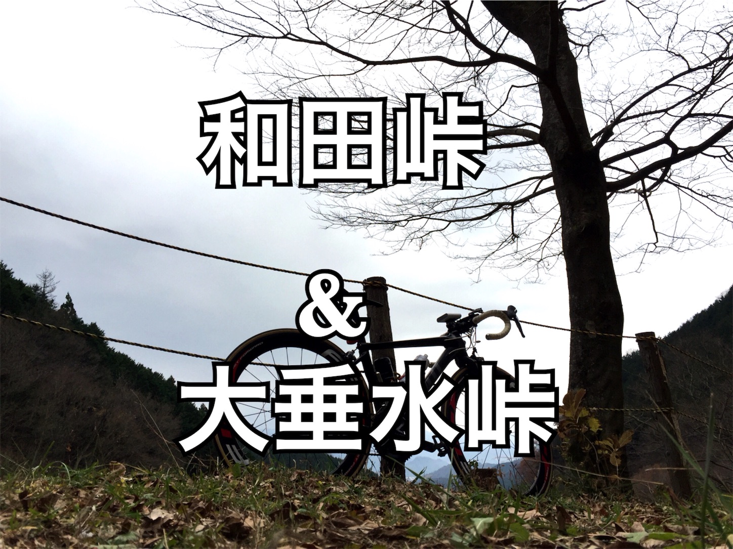 f:id:akikazu_sato:20151223224611j:image f:id:akikazu_sato:20151223224611j:image