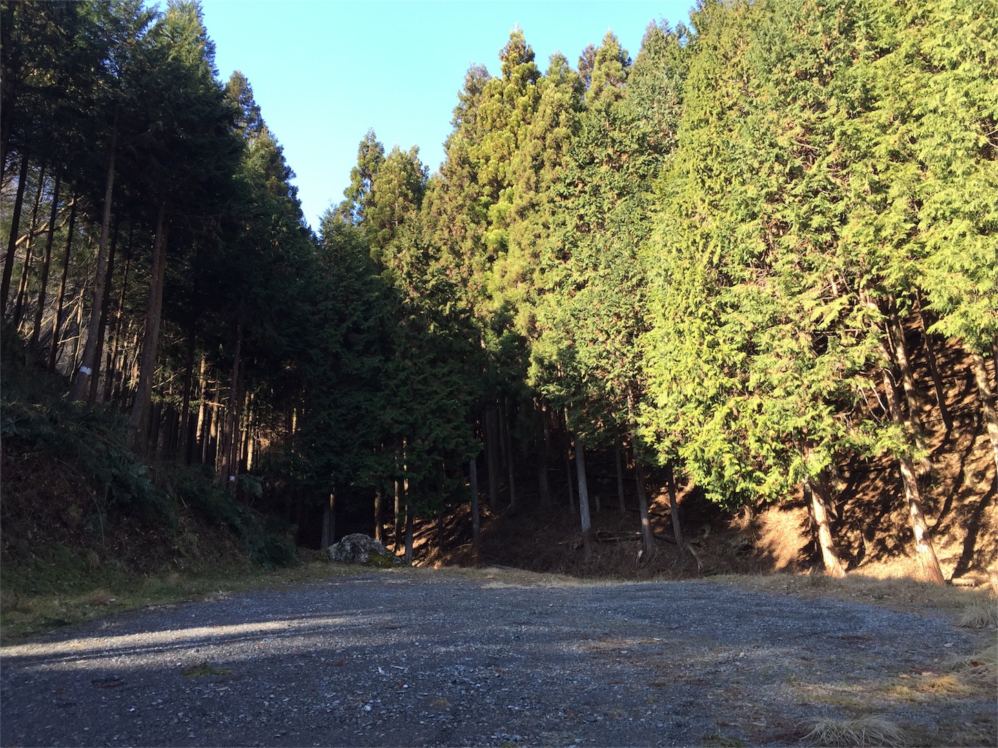 f:id:akikazu_sato:20160101205642j:image f:id:akikazu_sato:20160101205642j:image