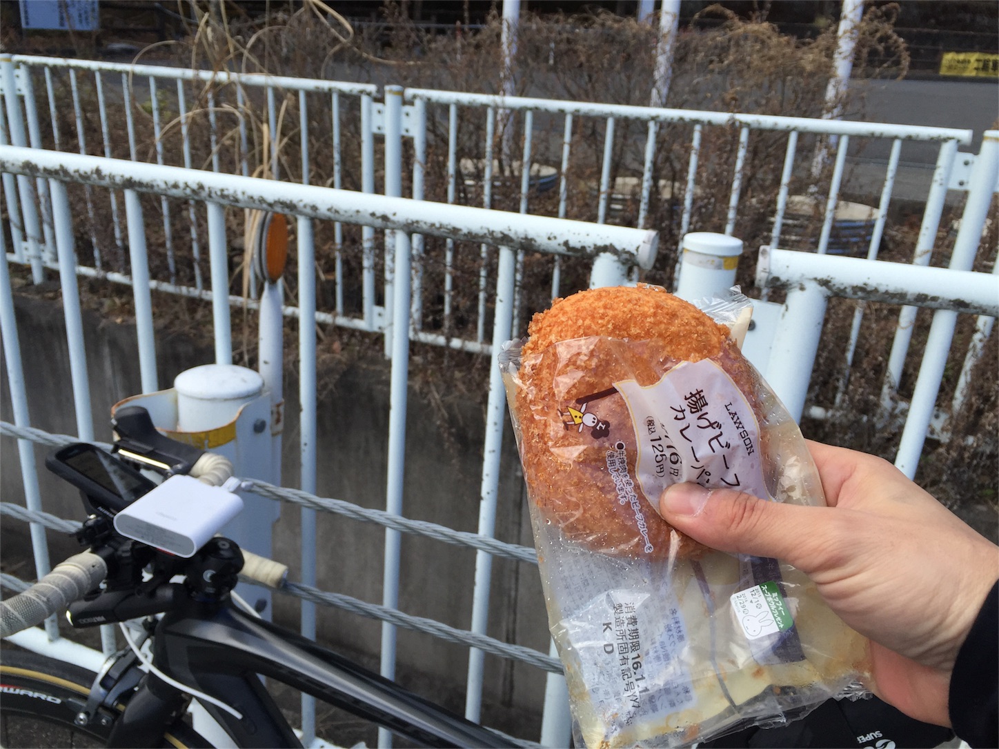 f:id:akikazu_sato:20160110182859j:image f:id:akikazu_sato:20160110182859j:image