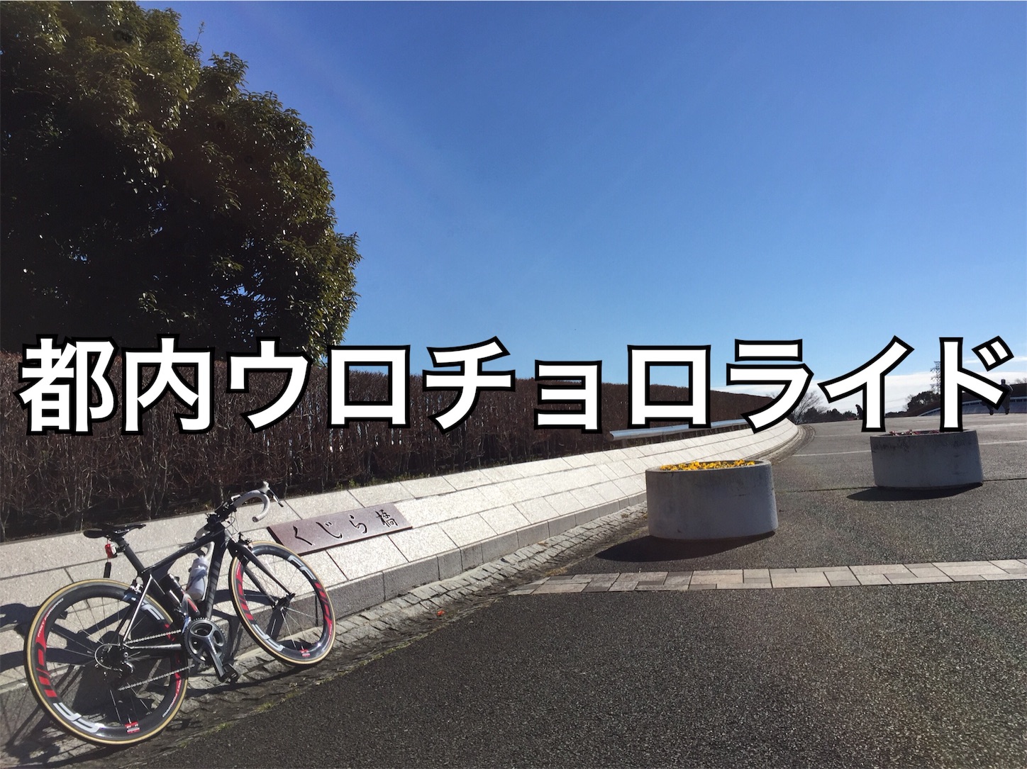 f:id:akikazu_sato:20160229043209j:image f:id:akikazu_sato:20160229043209j:image