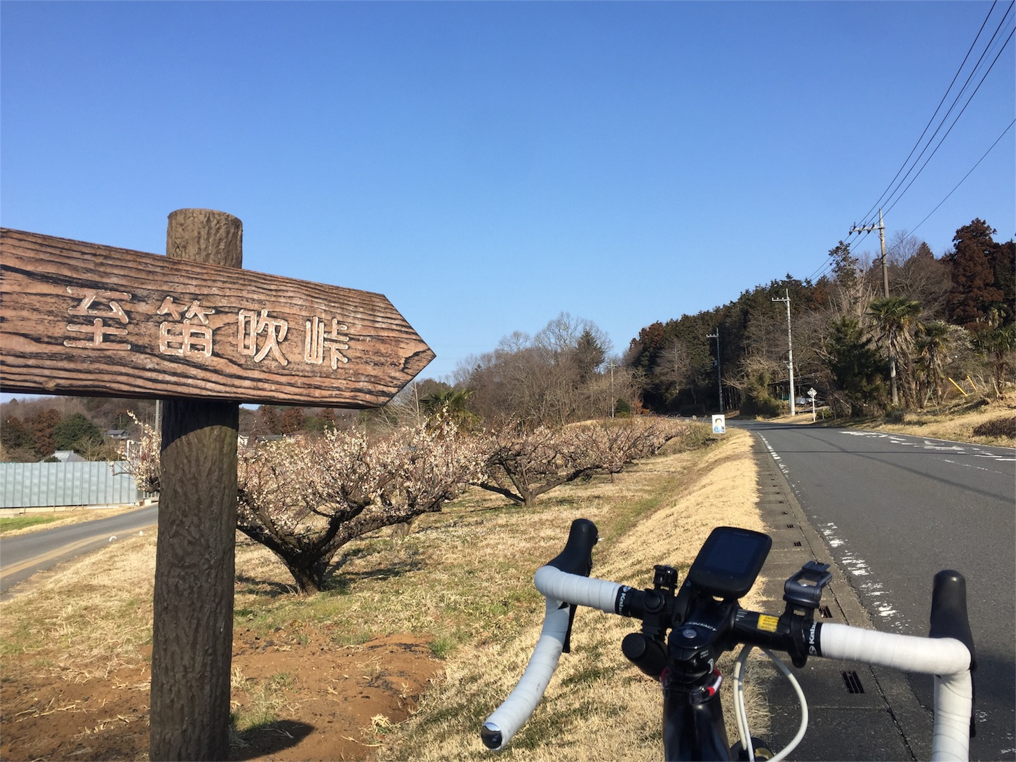 f:id:akikazu_sato:20160313103341j:image f:id:akikazu_sato:20160313103341j:image