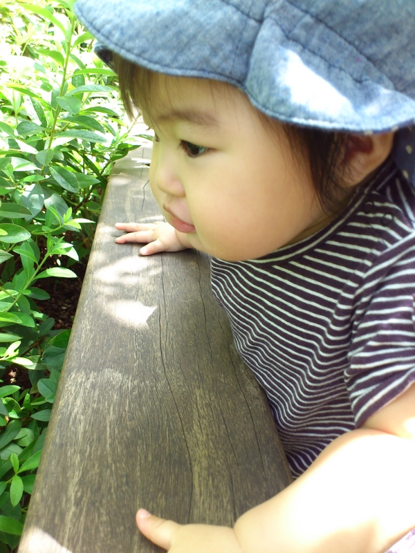 f:id:akimakiakimakiakimakimaki:20120819123411j:image f:id:akimakiakimakiakimakimaki:20120819123411j:image