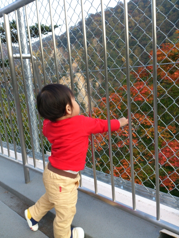 f:id:akimakiakimakiakimakimaki:20121015162649j:image f:id:akimakiakimakiakimakimaki:20121015162649j:image