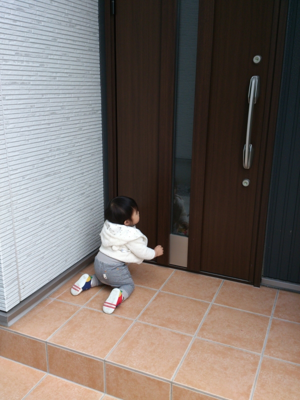 f:id:akimakiakimakiakimakimaki:20121031141449j:image f:id:akimakiakimakiakimakimaki:20121031141449j:image