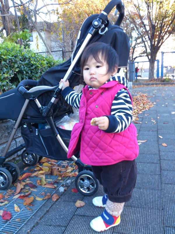 f:id:akimakiakimakiakimakimaki:20121127151939j:image