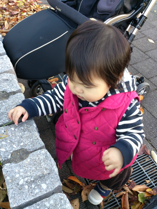 f:id:akimakiakimakiakimakimaki:20121127152058j:image f:id:akimakiakimakiakimakimaki:20121127152058j:image