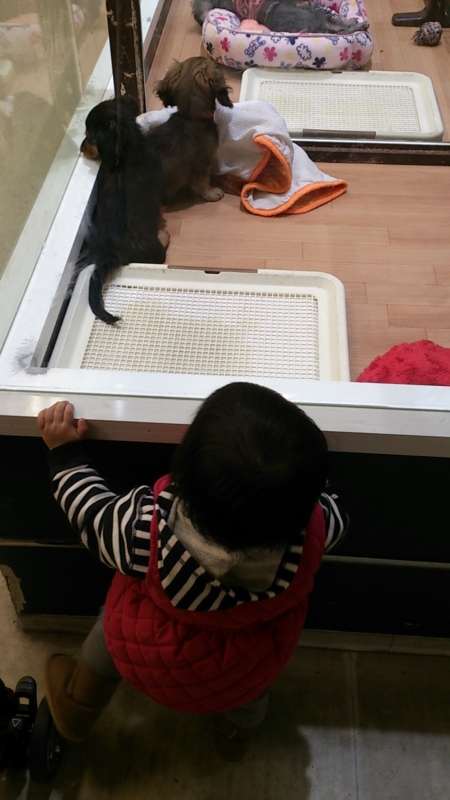 f:id:akimakiakimakiakimakimaki:20121215174441j:image f:id:akimakiakimakiakimakimaki:20121215174441j:image