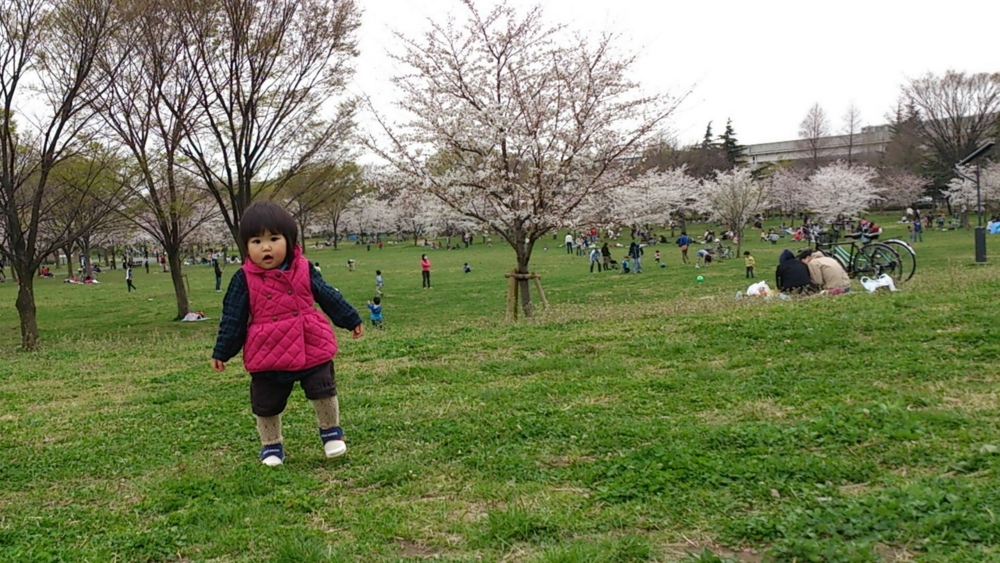f:id:akimakiakimakiakimakimaki:20130324020252j:plain f:id:akimakiakimakiakimakimaki:20130324020252j:plain