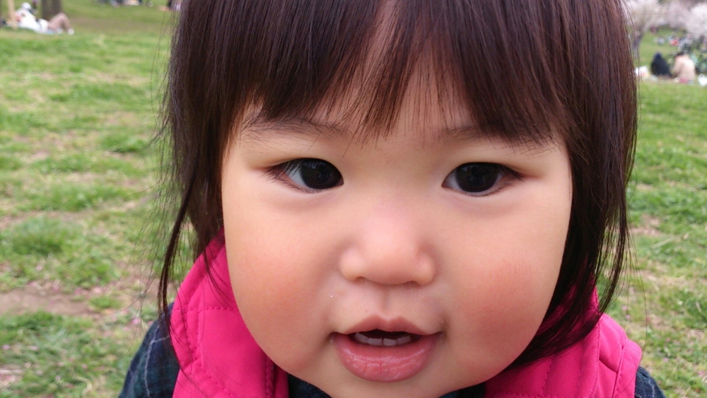 f:id:akimakiakimakiakimakimaki:20130324020410j:plain f:id:akimakiakimakiakimakimaki:20130324020410j:plain