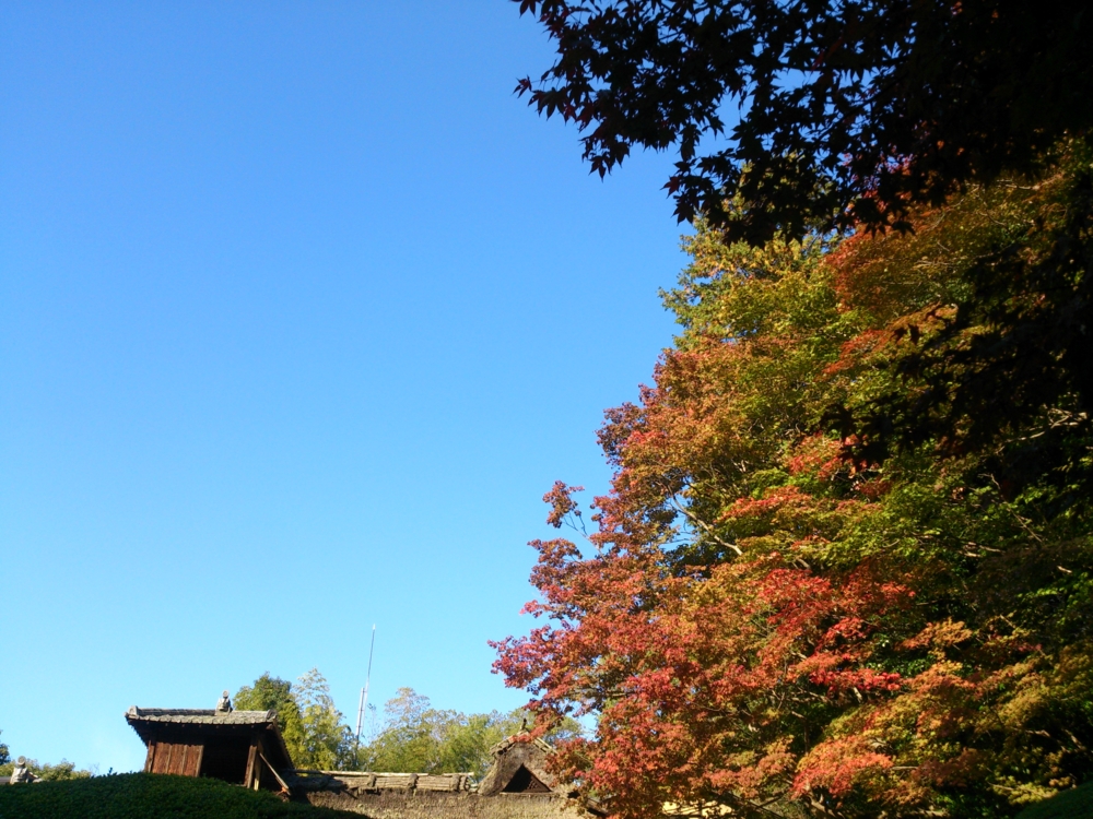 f:id:akimakiakimakiakimakimaki:20131114145135j:plain f:id:akimakiakimakiakimakimaki:20131114145135j:plain