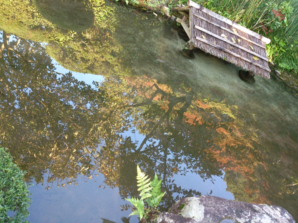f:id:akimakiakimakiakimakimaki:20131114150144j:plain f:id:akimakiakimakiakimakimaki:20131114150144j:plain