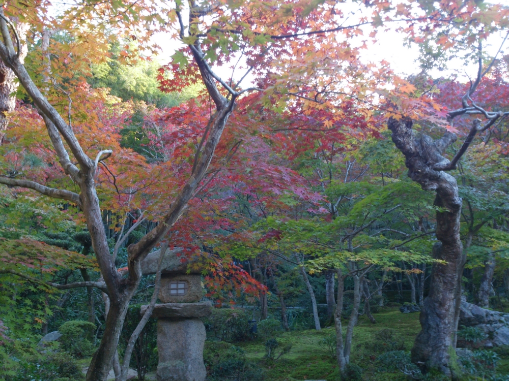f:id:akimakiakimakiakimakimaki:20131114152753j:plain f:id:akimakiakimakiakimakimaki:20131114152753j:plain