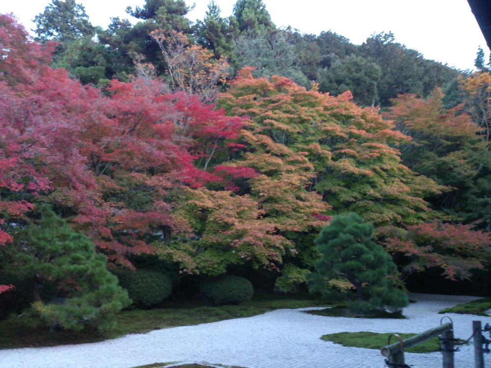f:id:akimakiakimakiakimakimaki:20131114165029j:plain f:id:akimakiakimakiakimakimaki:20131114165029j:plain