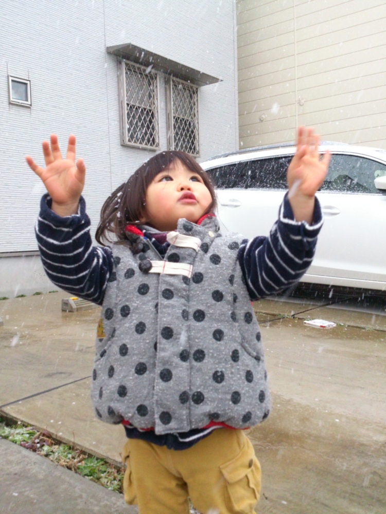 f:id:akimakiakimakiakimakimaki:20140204155508j:plain f:id:akimakiakimakiakimakimaki:20140204155508j:plain