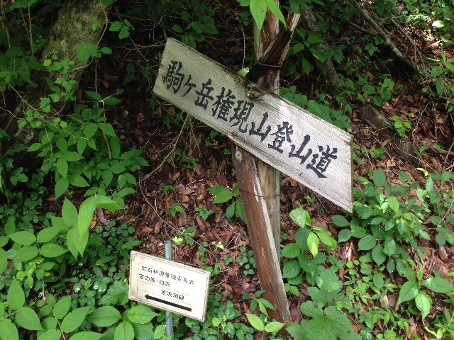 f:id:akimo1118:20150623135657j:image f:id:akimo1118:20150623135657j:image