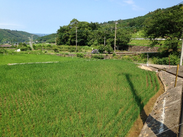 f:id:akimo1118:20150626151625j:image f:id:akimo1118:20150626151625j:image