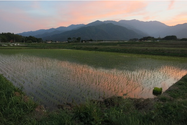 f:id:akimo1118:20150701204535j:image f:id:akimo1118:20150701204535j:image