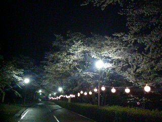 f:id:akisan0413:20070407201156j:image