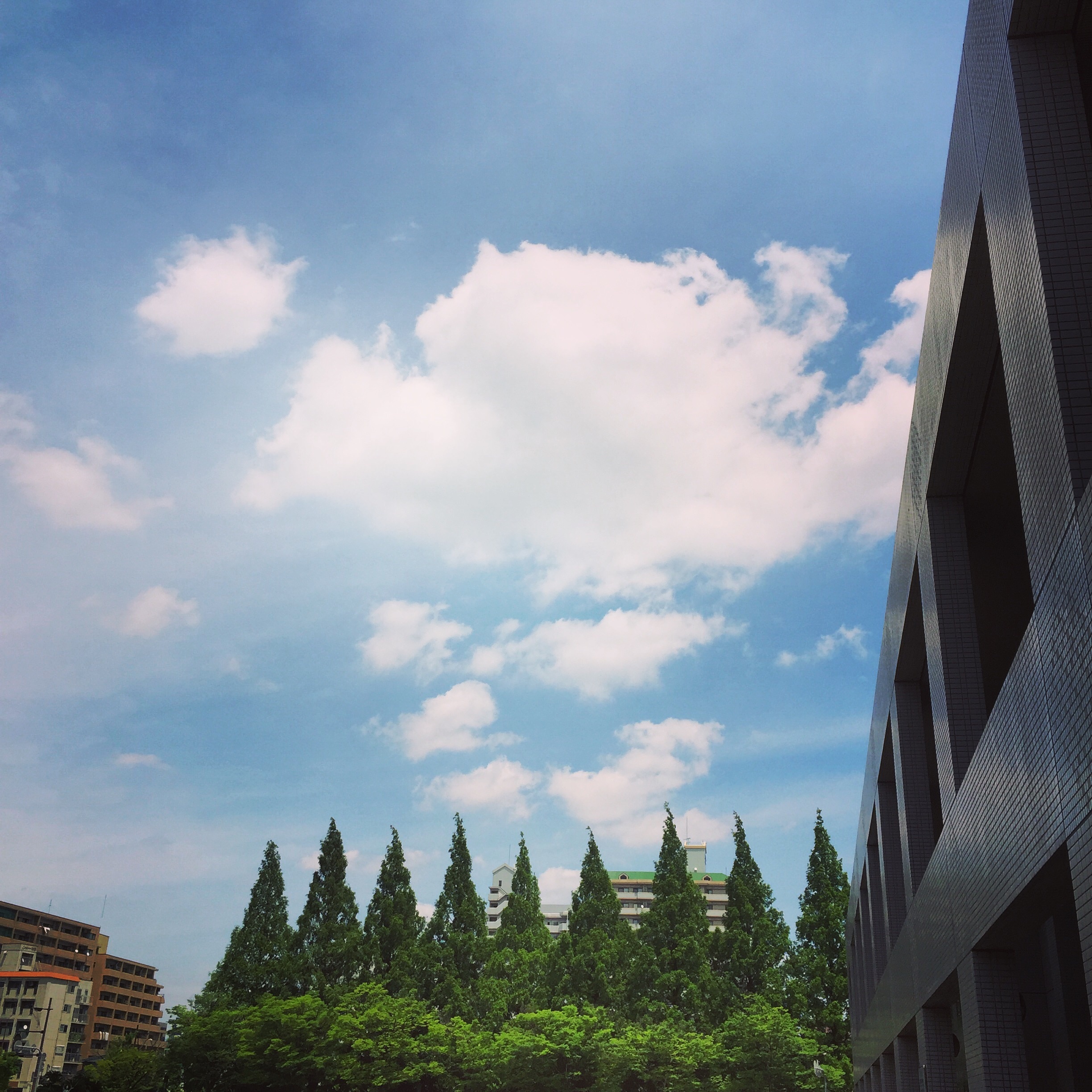 f:id:akkachan:20160513191202j:image f:id:akkachan:20160513191202j:image